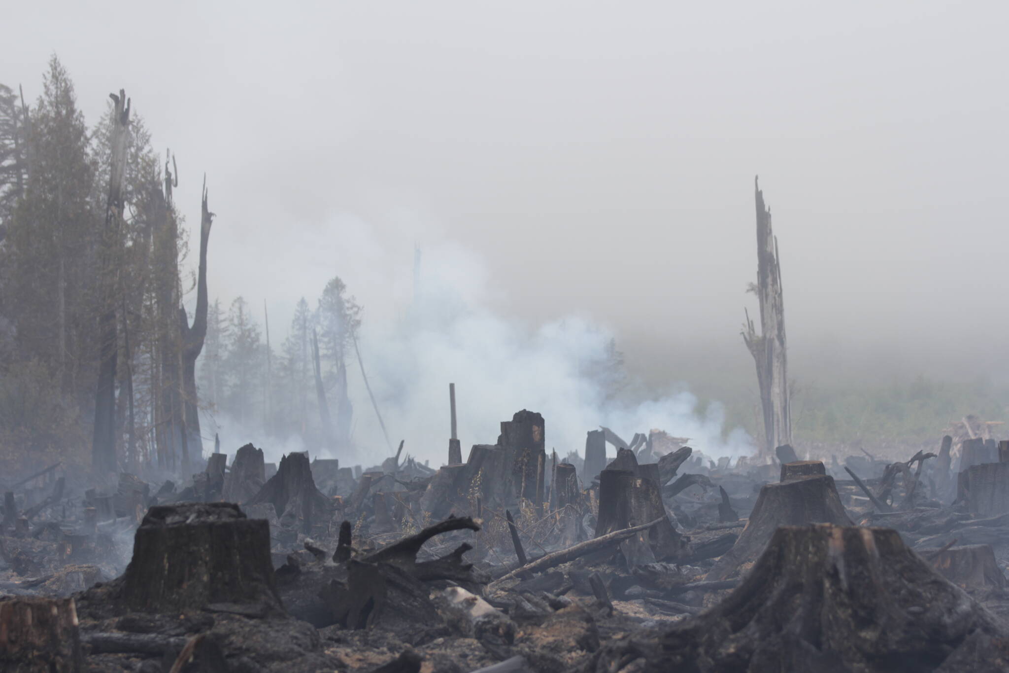 A wildfire near Moclips in 2023 spread to about 50 acres before local and state fire agencies managed to slow its spread. (Michael S. Lockett / The Daily World)