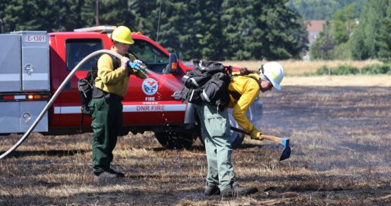 Michael S. Lockett / The Daily World
DNR wildland firefighters extinguish hotspots from a grass fire near Elma on Saturday.