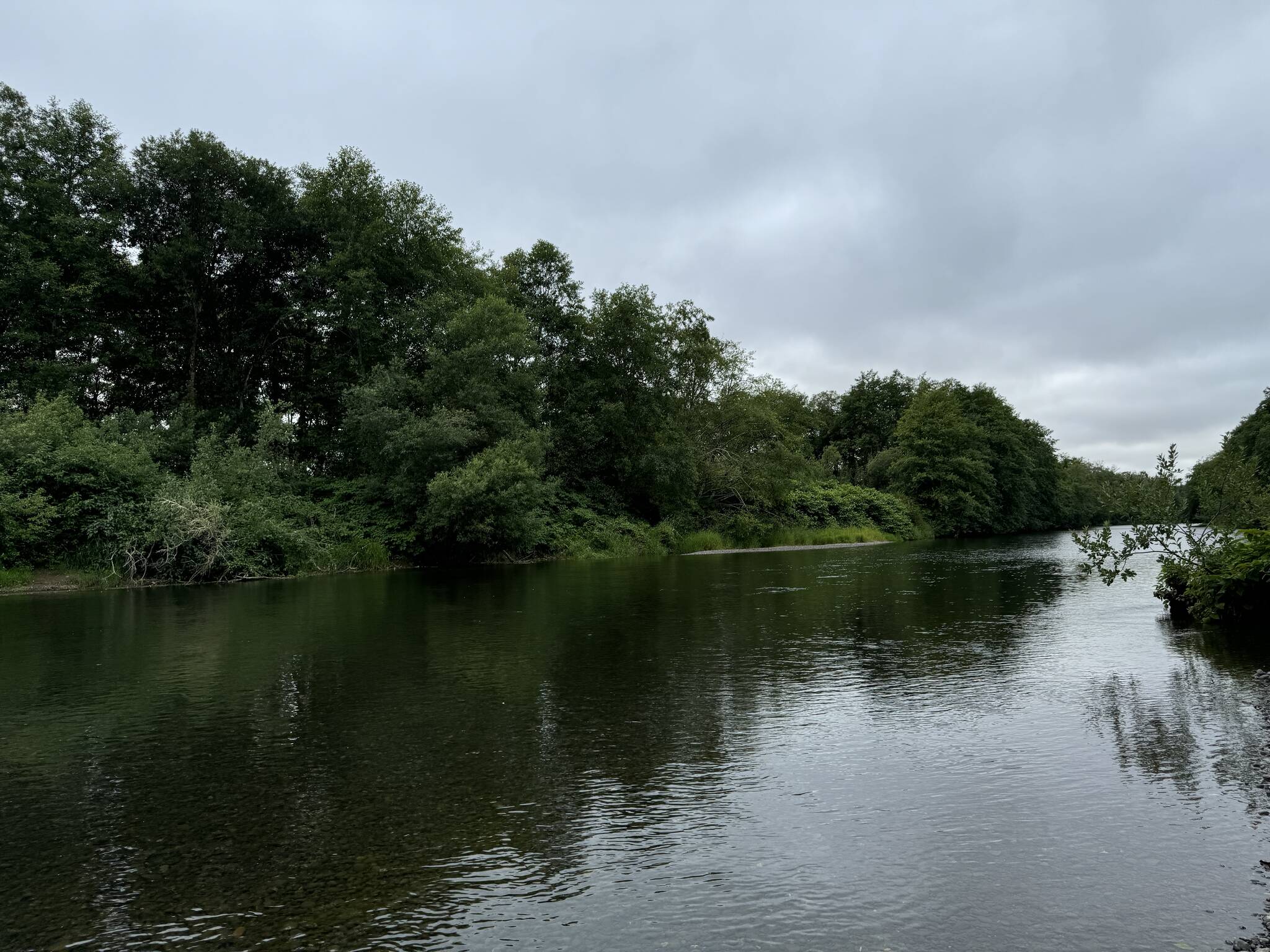 A man died of suspected drowning on Tuesday while in the water near Sterling Landing. (Michael S. Lockett / The Daily World)