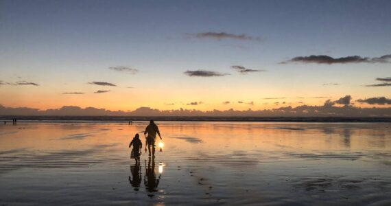 WDFW
Razor clam digs are once again scheduled for our coastal beaches, many of them taking place after dark.