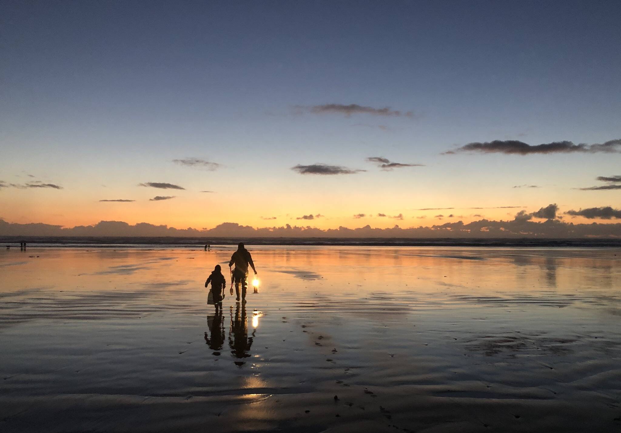 WDFW
Razor clam digs are once again scheduled for our coastal beaches, many of them taking place after dark.