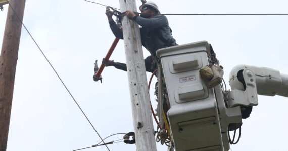 Michael S. Lockett / The Daily World
A Grays Harbor PUD line crew works to replace an old pole.