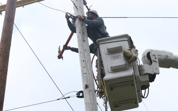 Michael S. Lockett / The Daily World
A Grays Harbor PUD line crew works to replace an old pole.