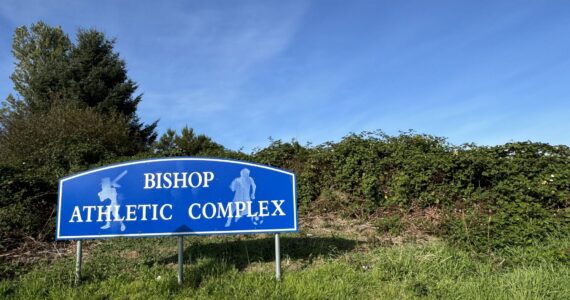 A man was arrested Wednesday after initiaing a confrontation on a transit bus near the Bishop Athletic Complex. (Michael S. Lockett / The Daily World)