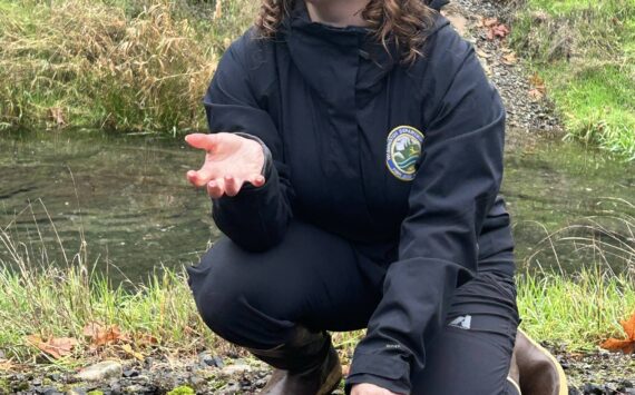 WDFW
Habitat biologist Lauren Bauernschmidt, with the Washington Department of Fish and Wildlife, discusses the lifecycle of a salmon at a past Schafer State Park gathering.