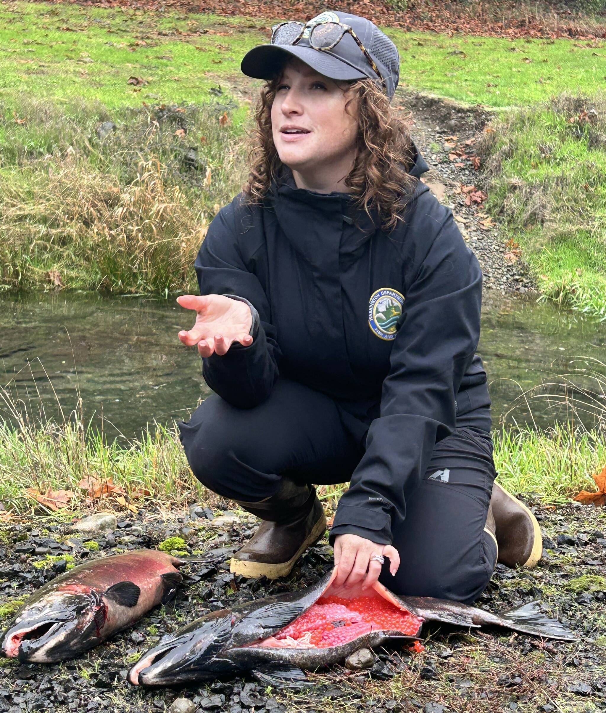 WDFW
Habitat biologist Lauren Bauernschmidt, with the Washington Department of Fish and Wildlife, discusses the lifecycle of a salmon at a past Schafer State Park gathering.