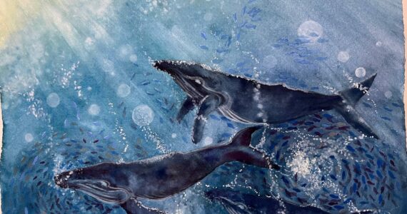 Yoko Minkler has a way with water and whales. This dynamic gouache painting is 16 inches by 20 inches. All art is available for purchase.