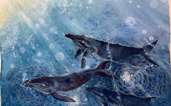 Yoko Minkler has a way with water and whales. This dynamic gouache painting is 16 inches by 20 inches. All art is available for purchase.