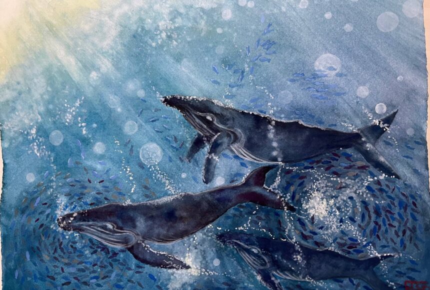 <p>Yoko Minkler has a way with water and whales. This dynamic gouache painting is 16 inches by 20 inches. All art is available for purchase.</p>