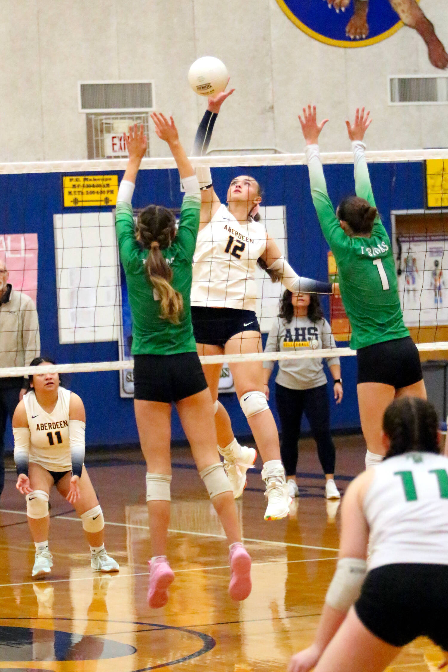 RYAN SPARKS | THE DAILY WORLD Aberdeen senior Lille Camp (12) puts up a shot in a 3-0 loss to Tumwater on Thursday at Sam Benn Gym in Aberdeen.