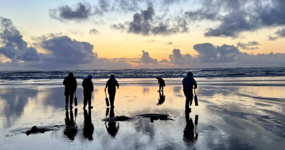 Marcus Chiu / WDFW
Coastal razor clam digs have been officially approved for Nov. 13 through Nov. 19.