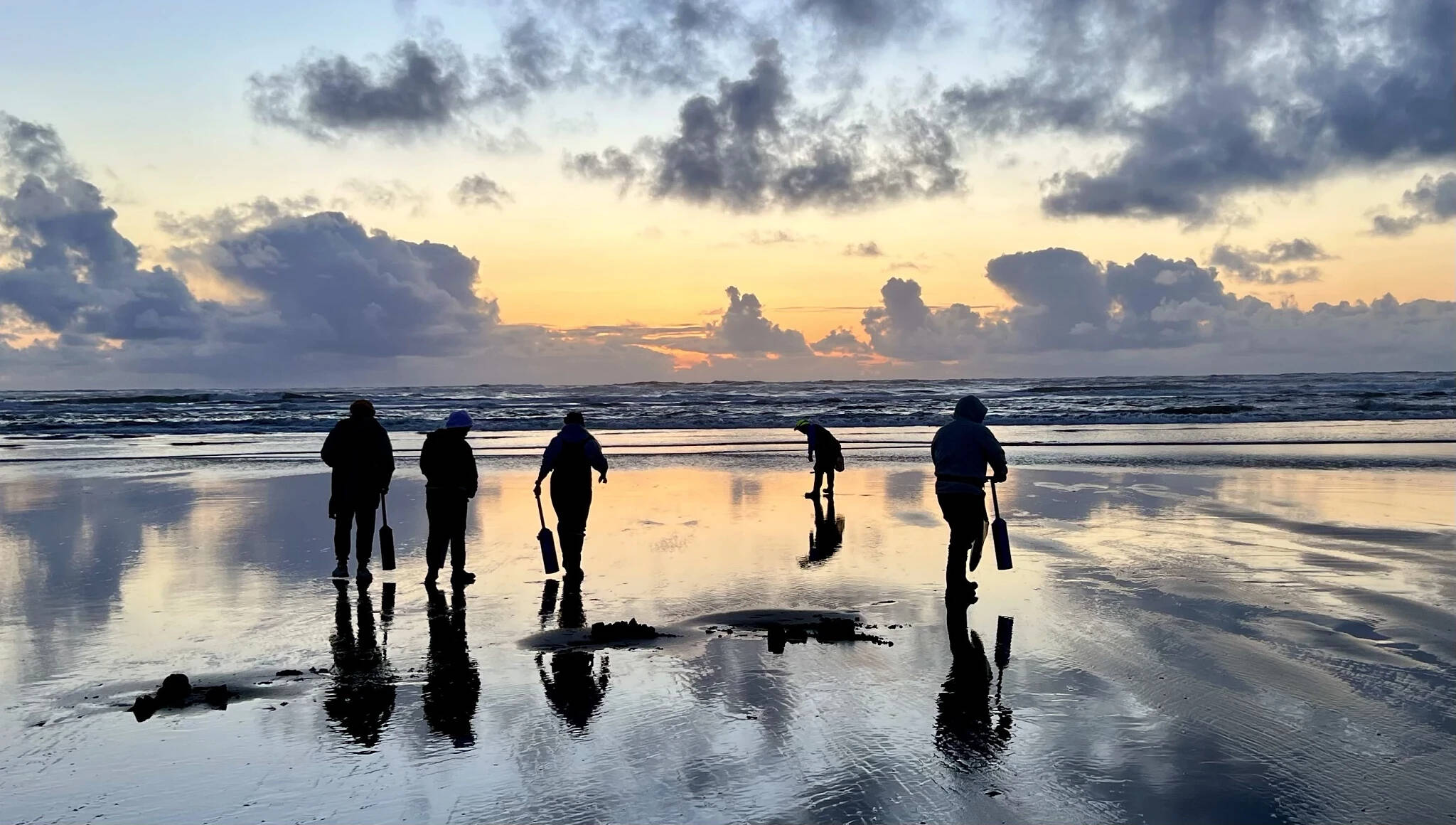 Marcus Chiu / WDFW
Coastal razor clam digs have been officially approved for Nov. 13 through Nov. 19.