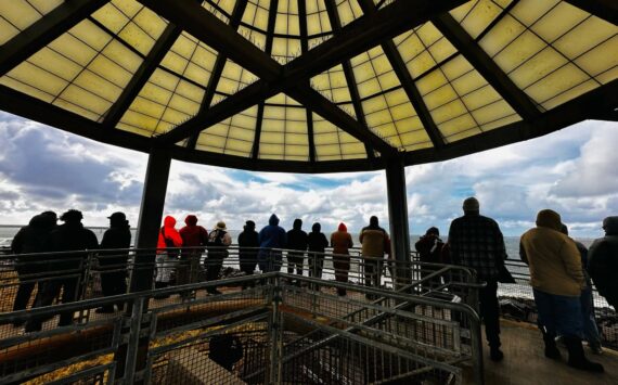 Barbara A. Smith / For The Daily World
The best view for king tides was at the top of the Westport Viewing Tower. This 360-degree view is stunning and on a clear day it’s possible to see the Olympic Range.