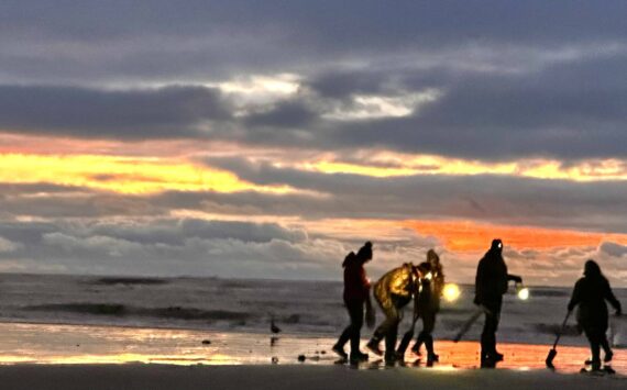 Barbara Smith photos / For The Daily World
Razor clam diggers jammed the beaches this weekend and enjoyed the crisp air and sunny skies. This is from Roosevelt Beach on Friday.