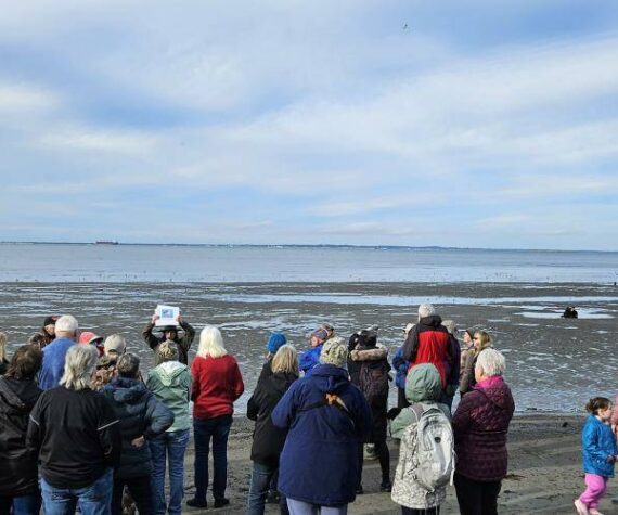 Washington State Parks
A good-sized crowd attended a past Bottle Beach State Park First Hike.