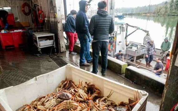 Luke Whittaker photos / Chinook Observer
Fishermen reported strong currents and steep competition among the opening-day hurdles Thurday, leading to lower-than-normal catch volumes. However, the opening record price from processors ($5.75) has been a huge relief, up from $3.50 last season.