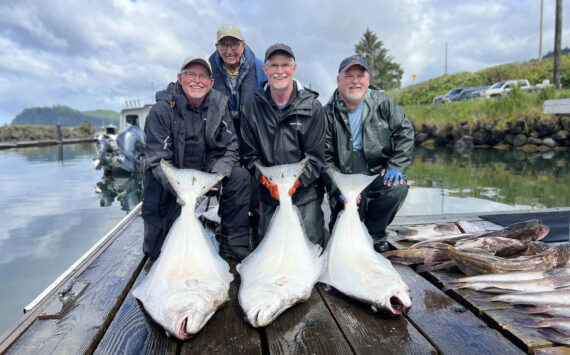 David Bergeron / WDFW
Halibut fishing seasons have been set for coastal and Puget Sound area.